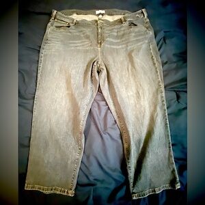 Lane Bryant jeans